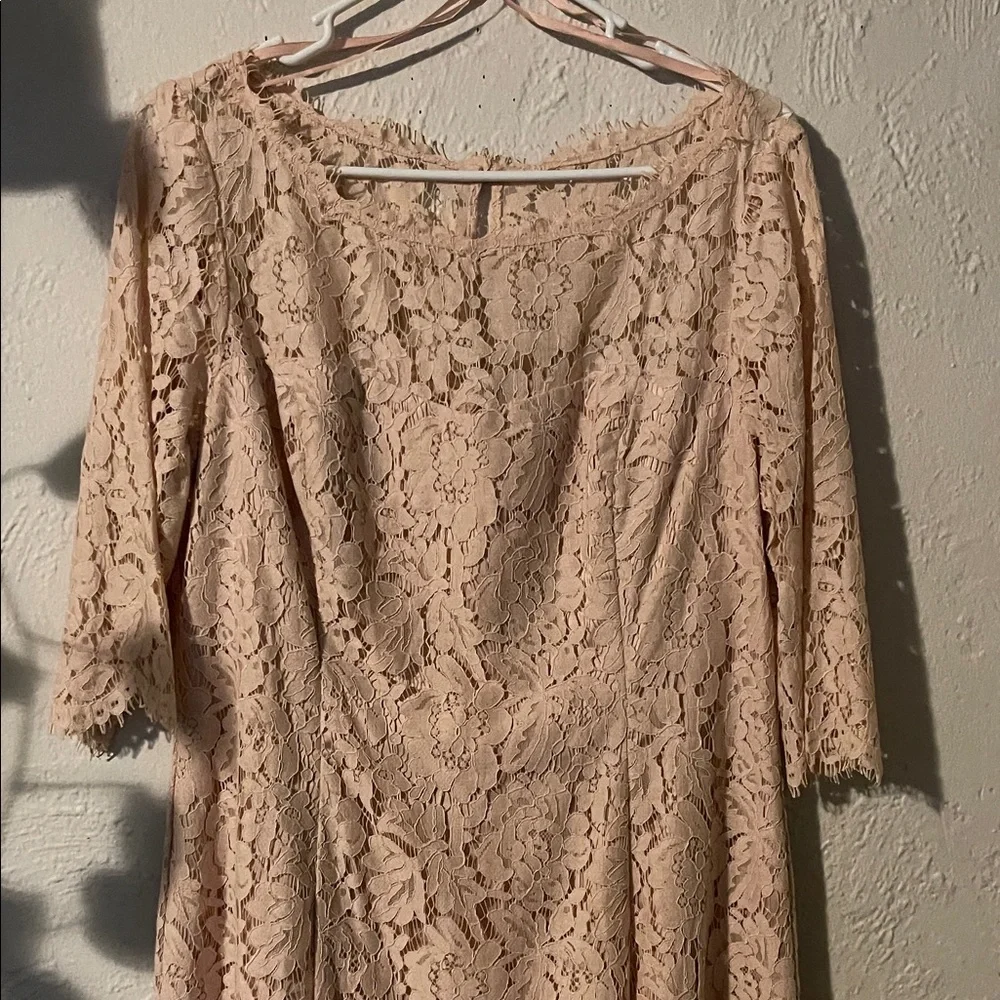 Eliza J Lace Long Sleeve Dress in Cream - Picture 4 of 8